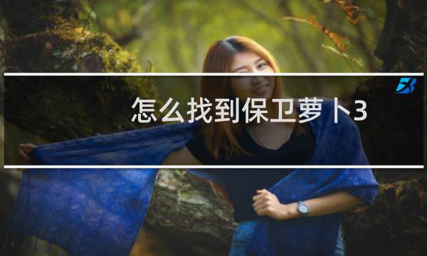 怎么找到保卫萝卜3