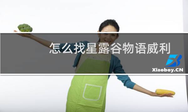 怎么找星露谷物语威利