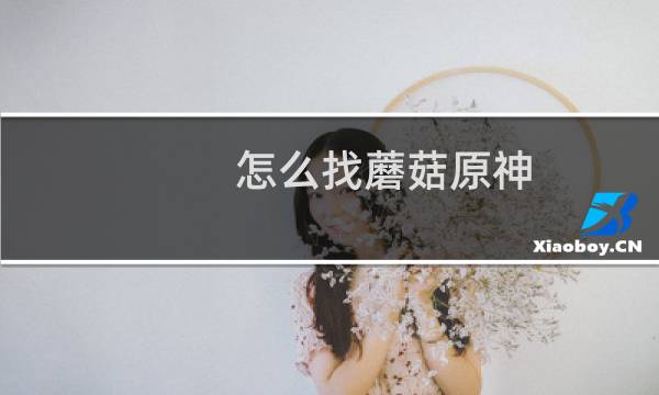 怎么找蘑菇原神