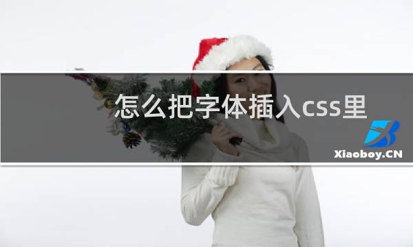 怎么把字体插入css里