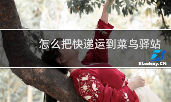 怎么把快递运到菜鸟驿站