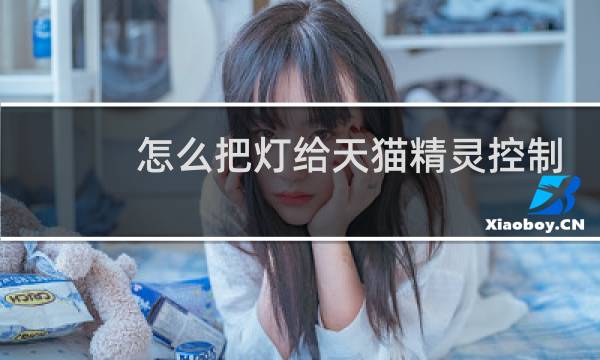 怎么把灯给天猫精灵控制