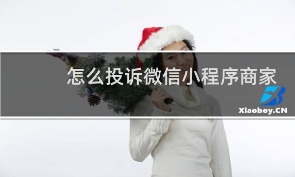 怎么投诉微信小程序商家