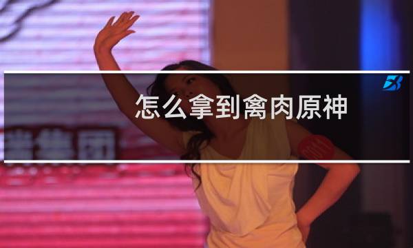 怎么拿到禽肉原神