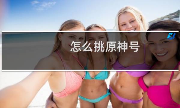 怎么挑原神号