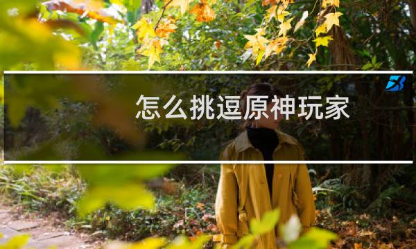 怎么挑逗原神玩家
