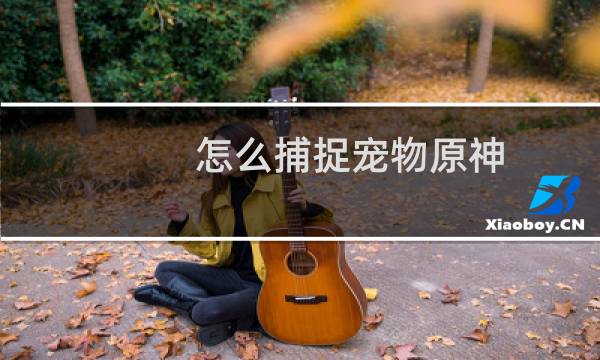 怎么捕捉宠物原神