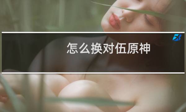 怎么换对伍原神