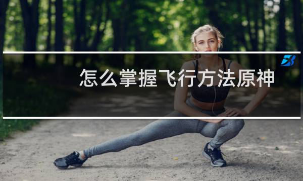 怎么掌握飞行方法原神