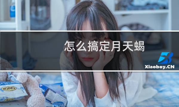 怎么搞定月天蝎