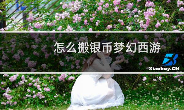 怎么搬银币梦幻西游