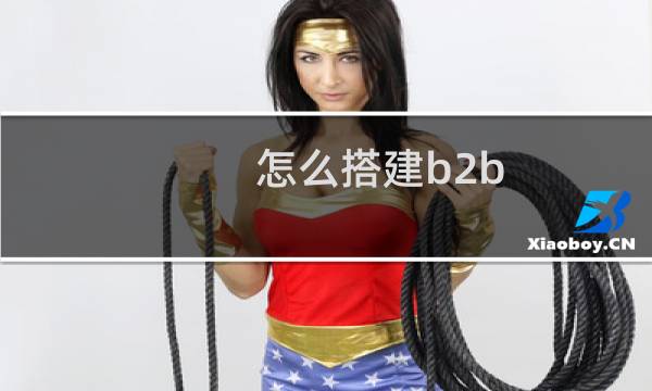 怎么搭建b2b