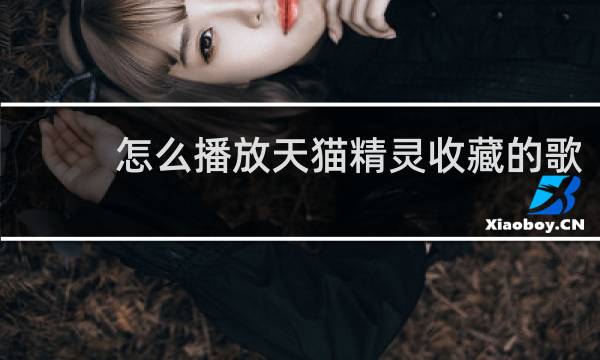 怎么播放天猫精灵收藏的歌