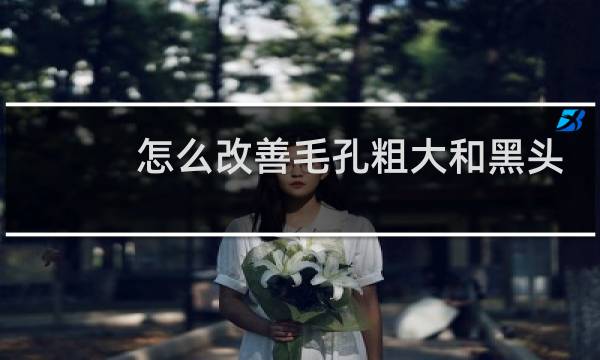 怎么改善毛孔粗大和黑头
