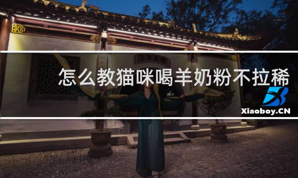 怎么教猫咪喝羊奶粉不拉稀