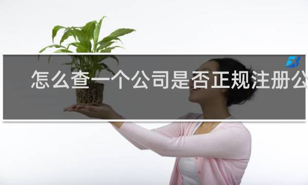 怎么查一个公司是否正规注册公司