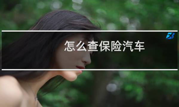 怎么查保险汽车