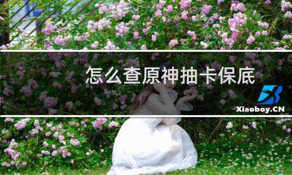 怎么查原神抽卡保底