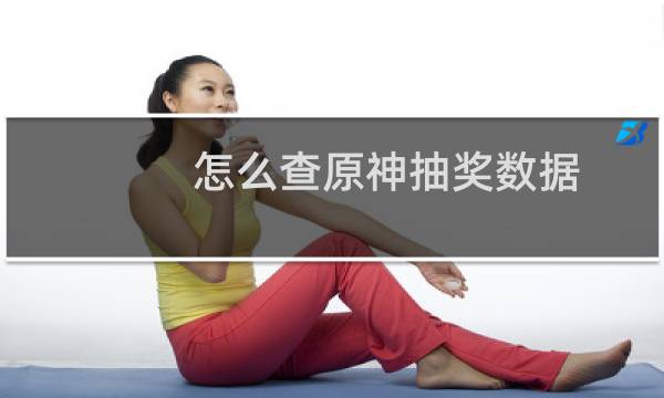 怎么查原神抽奖数据