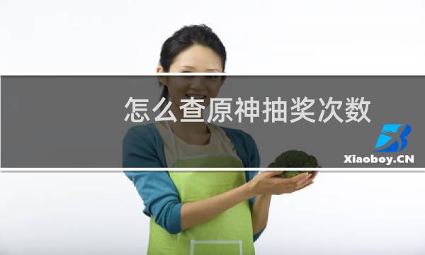 怎么查原神抽奖次数