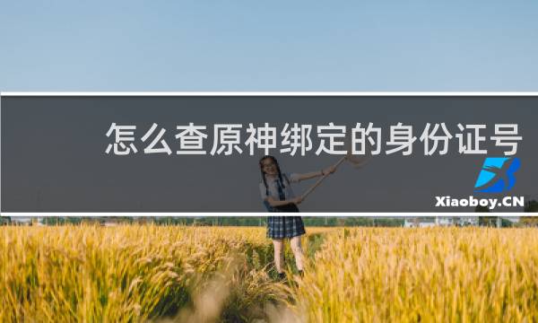 怎么查原神绑定的身份证号