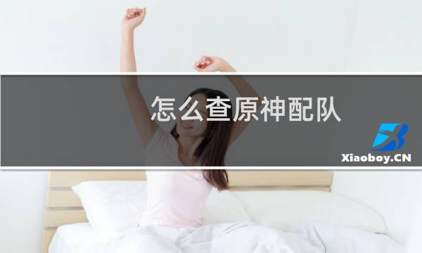 怎么查原神配队