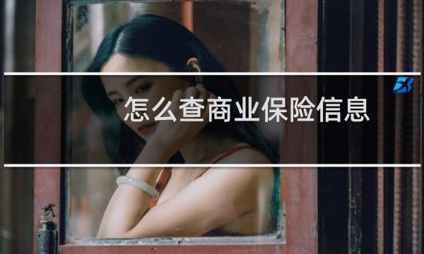 怎么查商业保险信息