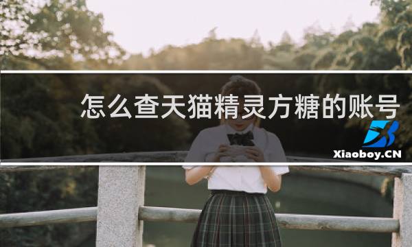 怎么查天猫精灵方糖的账号