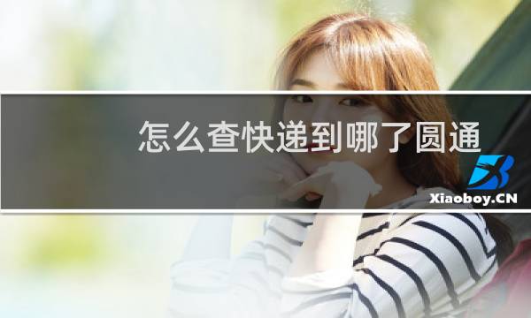 怎么查快递到哪了圆通