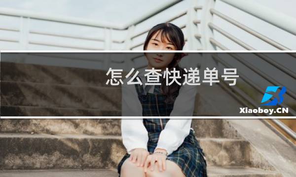 怎么查快递单号