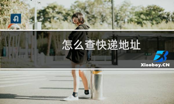 怎么查快递地址