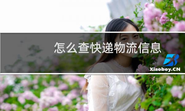 怎么查快递物流信息