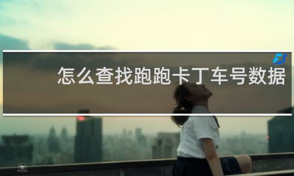 怎么查找跑跑卡丁车号数据