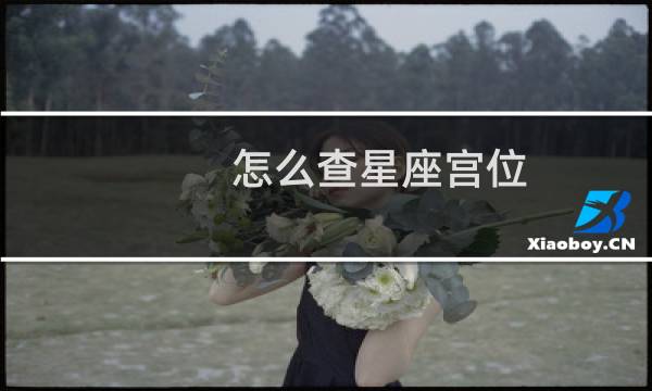 怎么查星座宫位