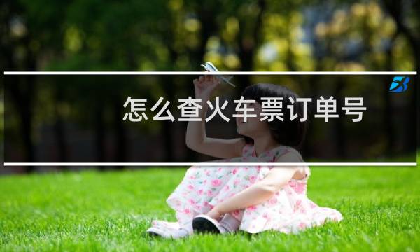 怎么查火车票订单号