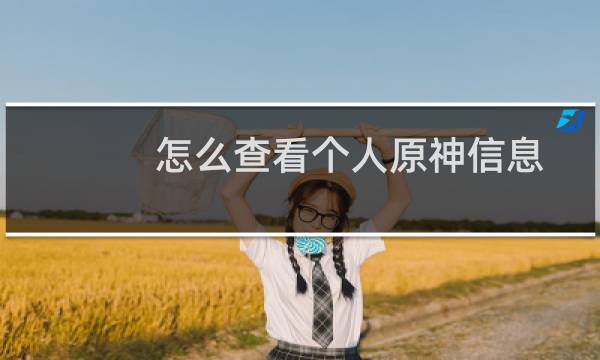 怎么查看个人原神信息