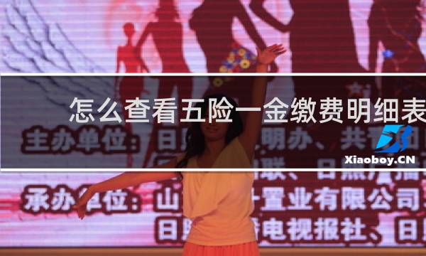 怎么查看五险一金缴费明细表