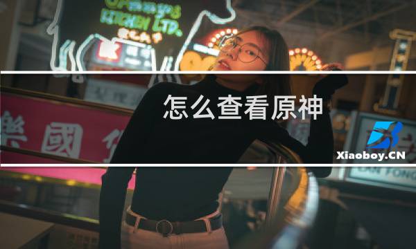 怎么查看原神 数据结果