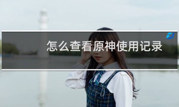 怎么查看原神使用记录