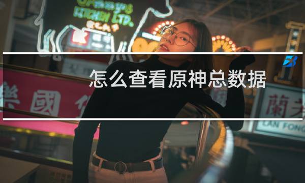 怎么查看原神总数据