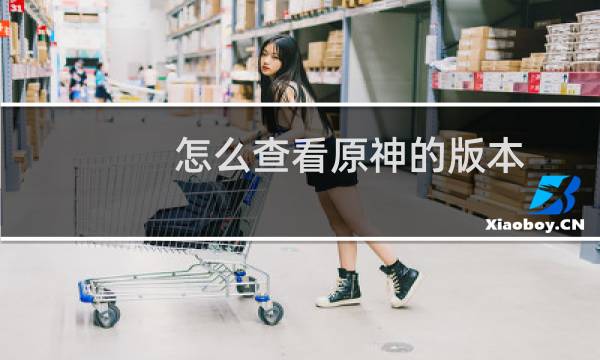 怎么查看原神的版本