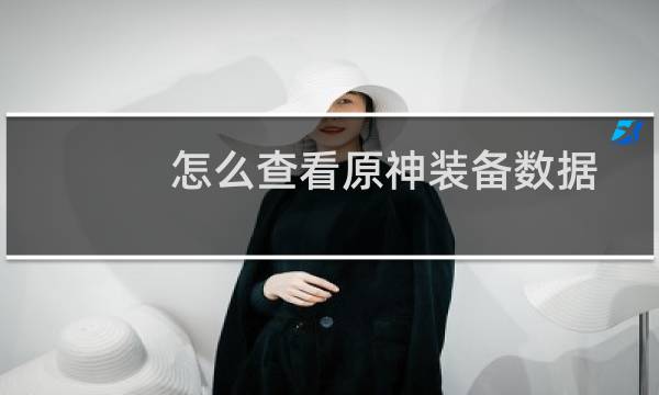 怎么查看原神装备数据
