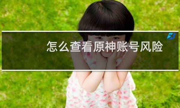 怎么查看原神账号风险