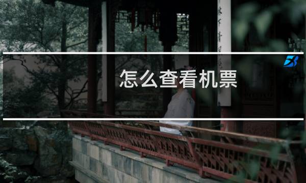 怎么查看机票