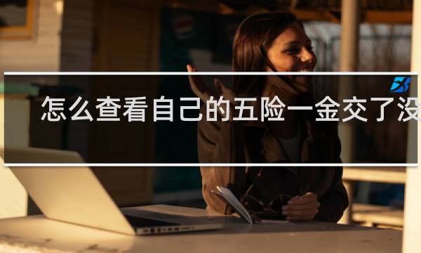 怎么查看自己的五险一金交了没有