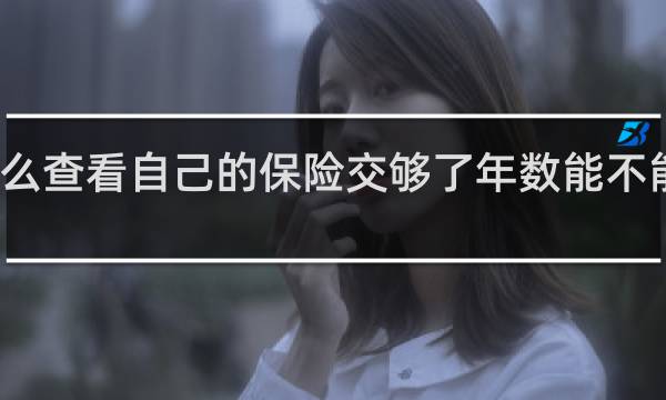 怎么查看自己的保险交够了年数能不能领出来