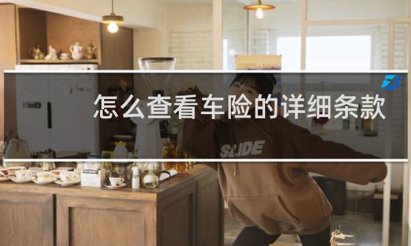 怎么查看车险的详细条款