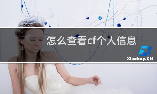 怎么查看cf个人信息