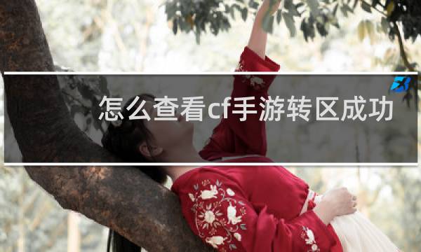 怎么查看cf手游转区成功