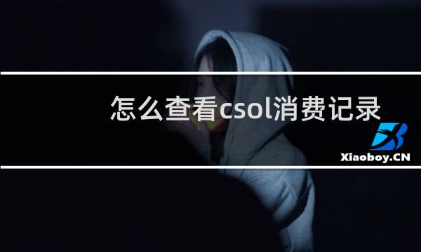 怎么查看csol消费记录